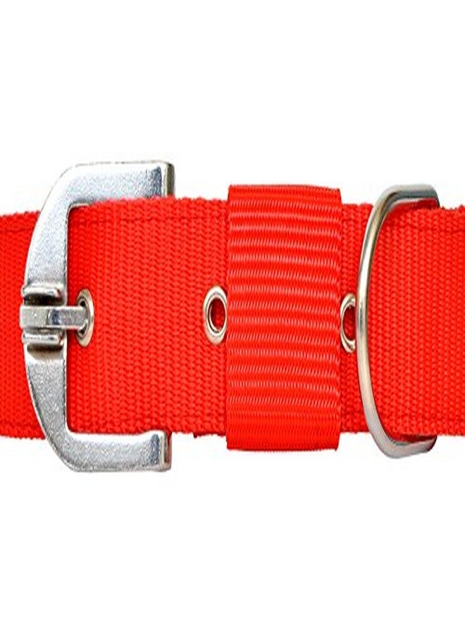 Pups&Pets Strong Nylon Everyday Dog Collar Leash Set Color - Red Small. - Image 3